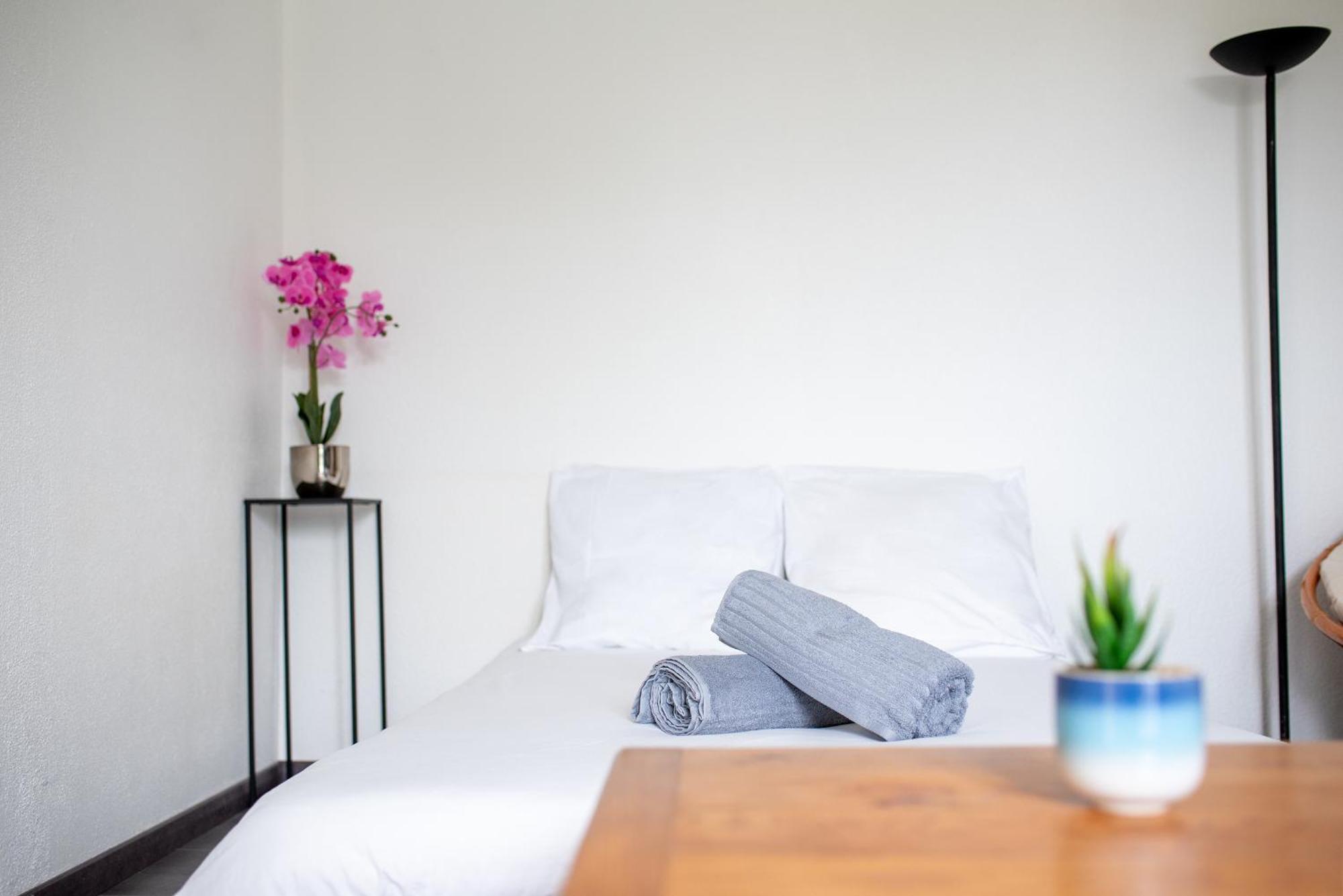 Appartement T2 Rangueil - Terrasse + 2 Parkings - 4 Personnes à Toulouse Extérieur photo